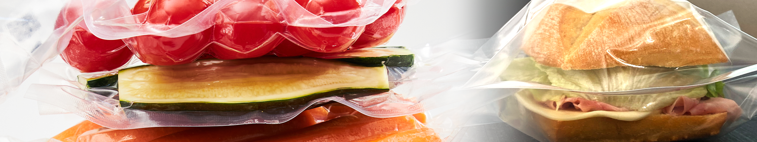 <span>Mise sous vide</span> et conservation