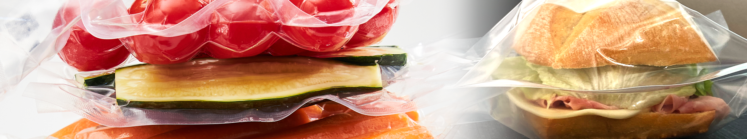 <span>Mise sous vide</span> et conservation